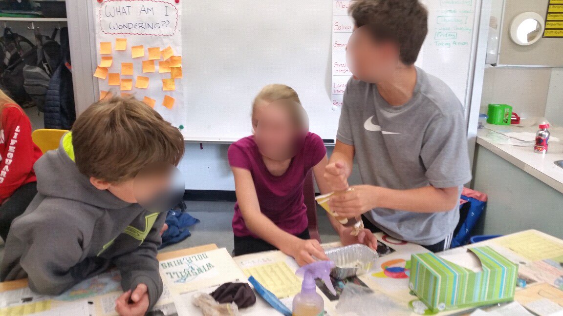 missggalbraith's tweet photo. More from our 'making poop' experiment #ebdiv2 #inquiry https://t.co/AxvpEgx1pk
