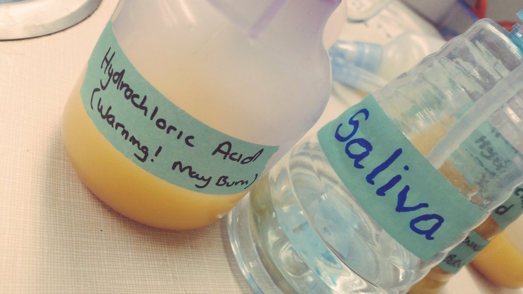 missggalbraith's tweet photo. The best type of learning: grossing your students out! #ebdiv2 #digestivesystem #take2 #ubcbed2016 #sd37 https://t.co/US34MWqNGU