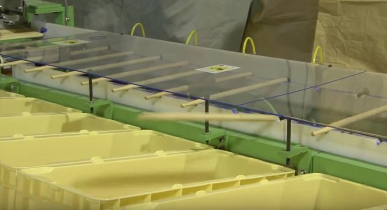 TAMADRUM_Japan's tweet image. TAMAのスティックは、重量±1gの範囲で12段階に選別。その後、スティックのピッチ（スティック自体が持つ音程）をさらに12段階に選別することで、重量、バランス、そしてピッチまで揃えたペアリングでスティックを出荷しています。