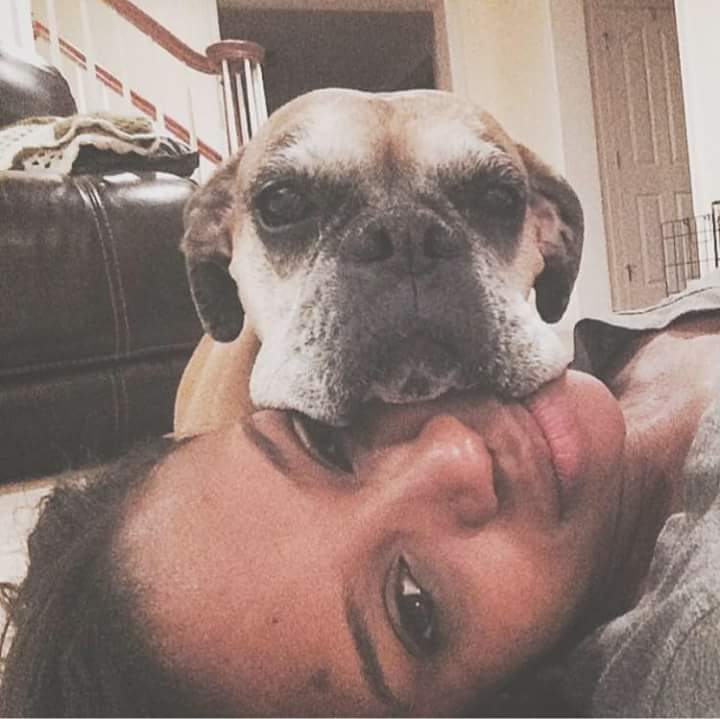 jeniedixon's tweet image. So tired from working all week can't even make it up the stairs Bella can't either #FridayFeeling