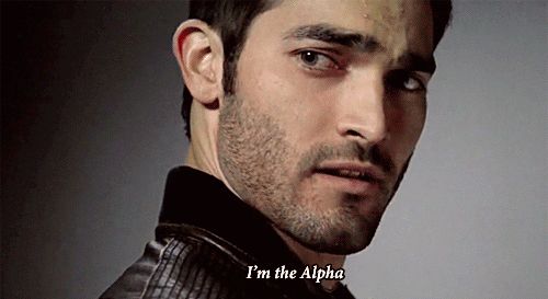 teenwolfMTV's tweet photo. when you meet someone with the same name as you https://t.co/ObPizqcIMX