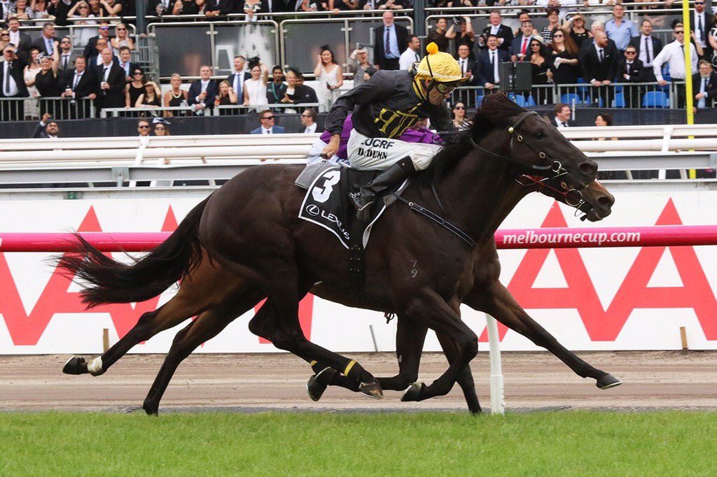 Good luck to our boy Excess Knowledge chasing Qld glory in today's G2 Hollindale Stakes!