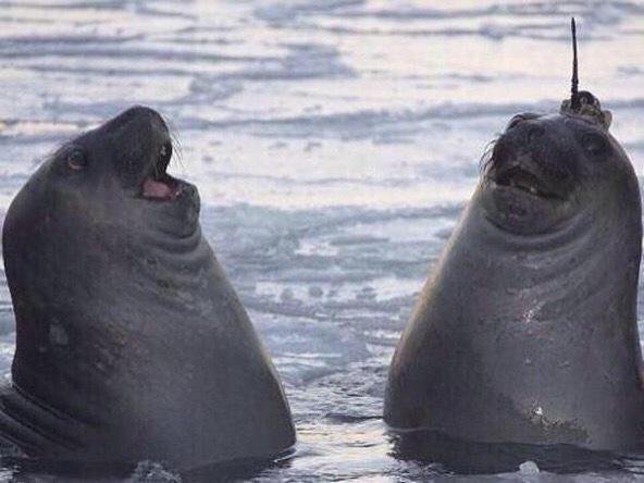 SpeakComedy's tweet photo. when you and your best friend say the same thing at the same time https://t.co/A4Al87JGYu