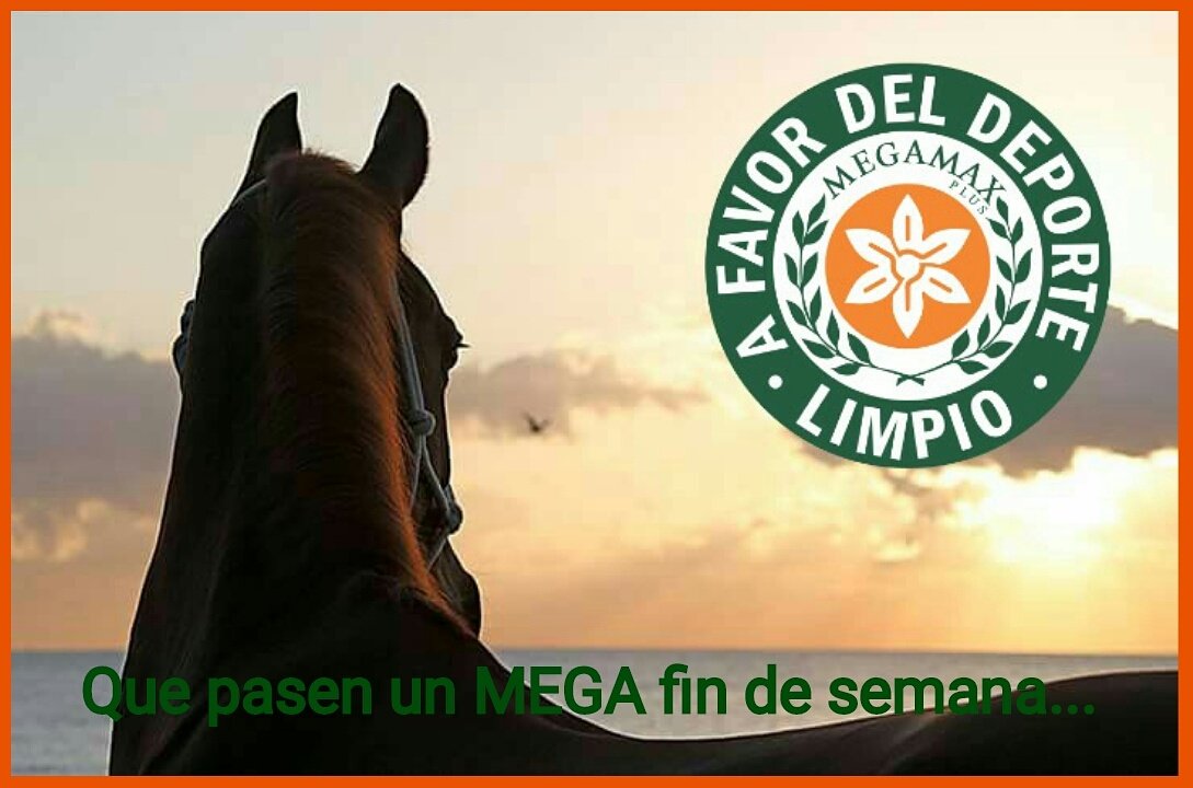 MEGAMAXPlus's tweet photo. https://t.co/Uaxn8GDY1E