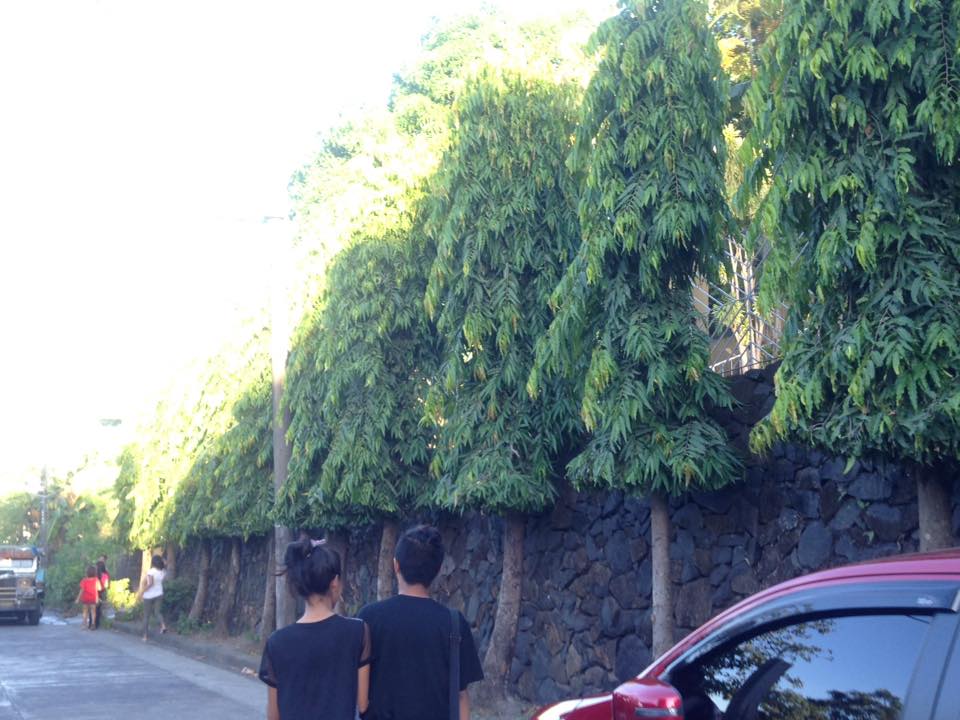 DmLaynesa's tweet image. Kapit lang jehcko