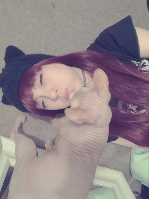 Selfie sticks were made so i can take pics with this cat https://t.co/9U0cYIgHSc<a href="/tag/camgirl"class="tags"><span>#camgirl</span></a><a href="/tag/manyvids"class="tags"><span>#manyvids</span></a>
