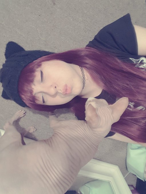 Selfie sticks were made so i can take pics with this cat https://t.co/9U0cYIgHSc<a href="/tag/camgirl"class="tags"><span>#camgirl</span></a><a href="/tag/manyvids"class="tags"><span>#manyvids</span></a>