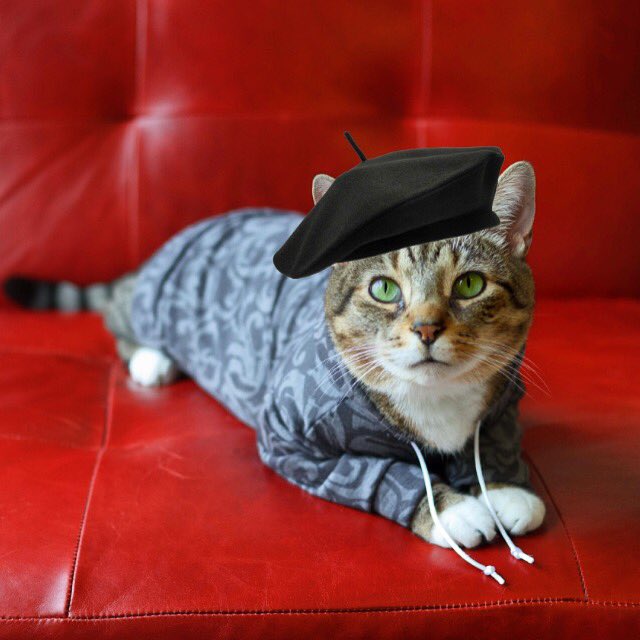 Hoodcatco's tweet photo. ON VACATION. We will be closed now-May 27th! Sorry for any inconvenience https://t.co/l6bmETupbw