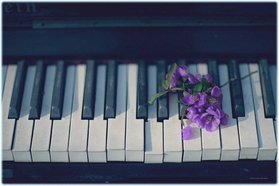 Image result for piano aesthetic