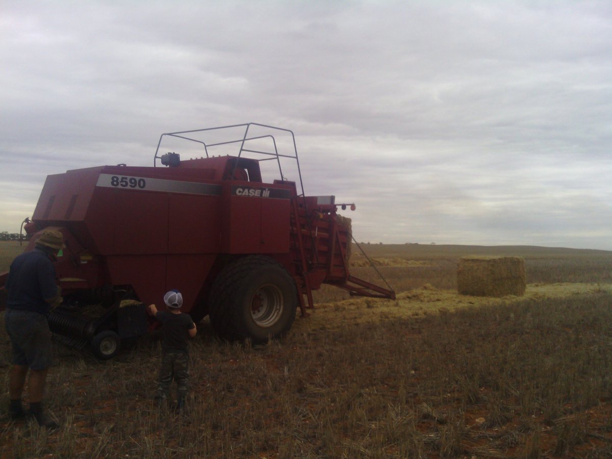 getting some chaff dumps baled before the rain # needsheepfeed
