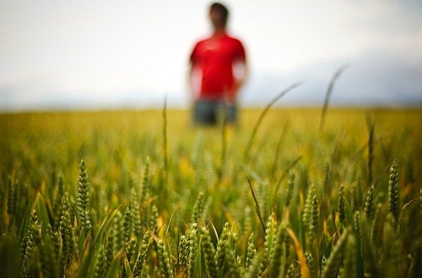 digitalps's tweet photo. 13 Examples of Great Photos When Being 'Out of Focus' Makes the Shot https://t.co/ViGmfuPOHr https://t.co/ZhLSx949N2