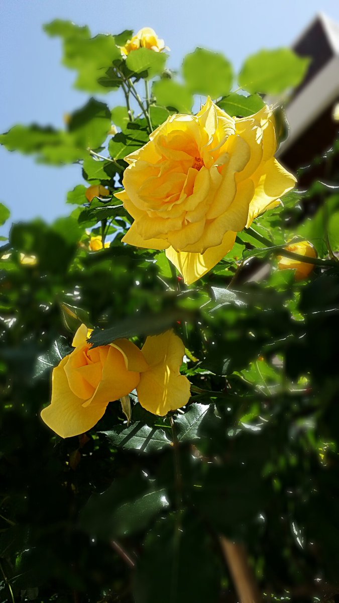 Kimkyoungkwon (@satnt3234) on Twitter photo 