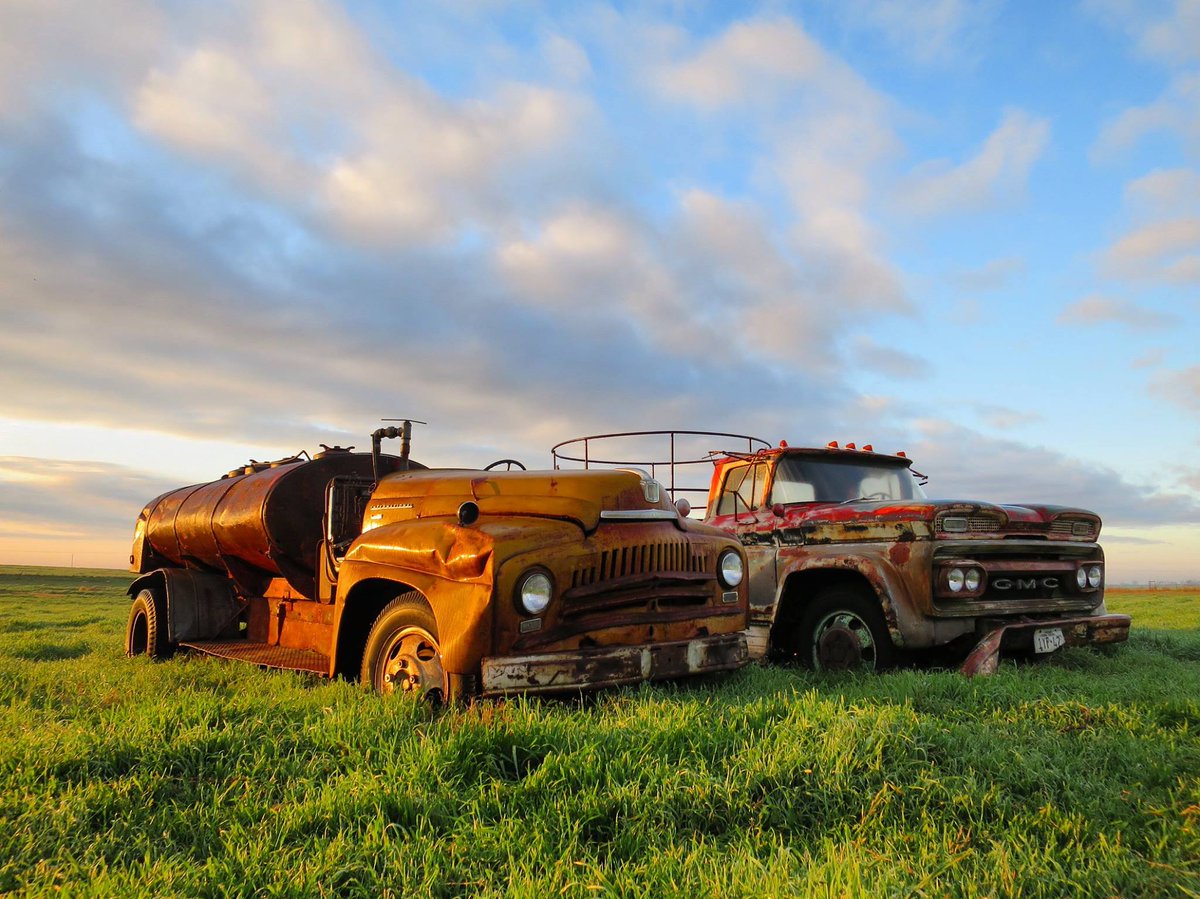 TexasFarmBureau's tweet photo. Retired #farm trucks. Put out to pasture. #FarmLife https://t.co/GDTFwgyGsv