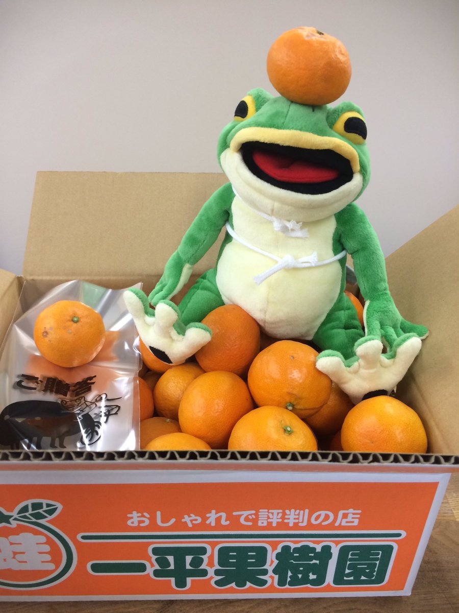 一平くん ミ 8 コマーシャル ワケありカラマンダリンが はじまります 雨でヤラレ 寒さでヤラレミカン農家も大変やね ワケアリなので 格安です 金が有り余って 水の代わりに札束を バスタブにキャワワと入っている貴方4649 一平くん ミ 8 コマーシャル ワケありカラマンダリンが はじまります 雨でヤラレ 寒さでヤラレミカン農家も大変やね ワケアリなので 格安です 金が有り余って 水の代わりに札束を バスタブにキャワワと入っている貴方4649