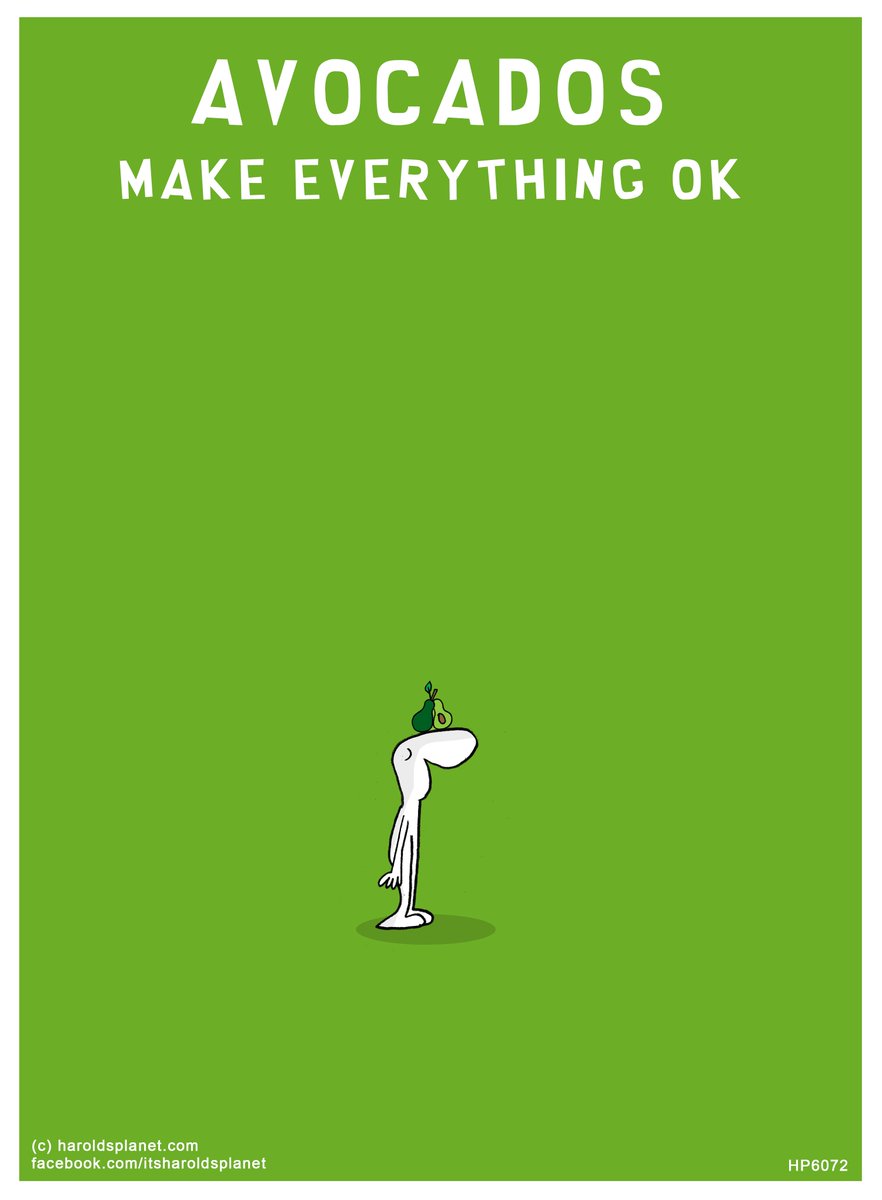 lastlemon01's tweet photo. Avocados make everything ok https://t.co/q3xEVCiUJr