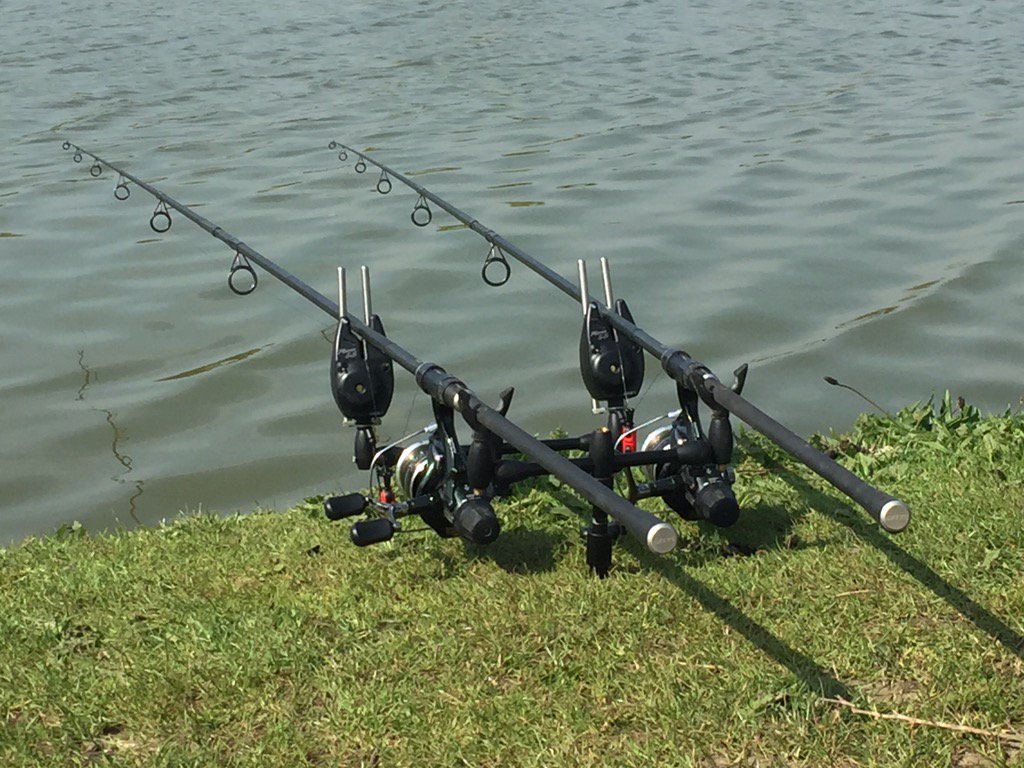 Come on the fish 🎣🎣