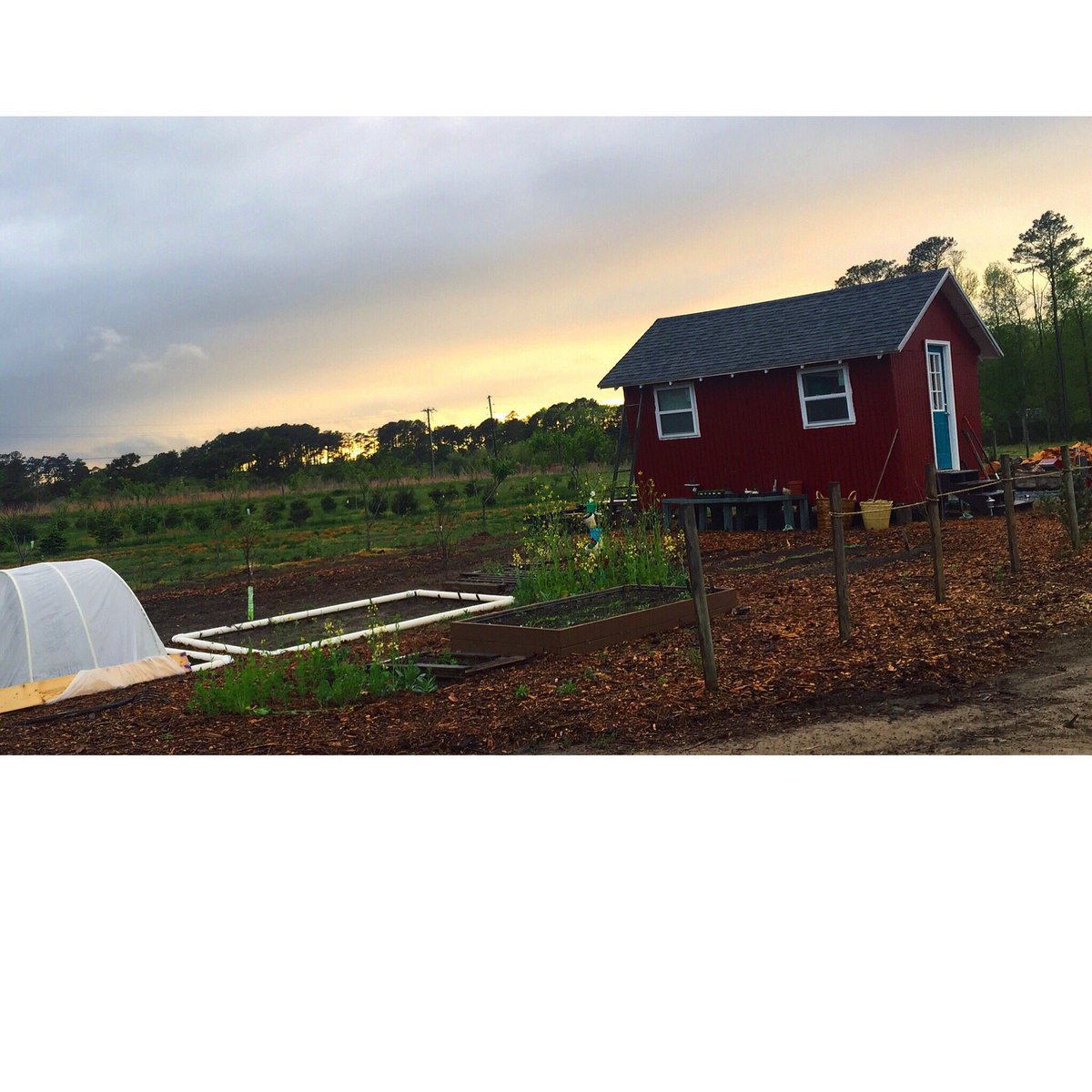 Assateague Farm (@assateaguefarm) on Twitter photo 