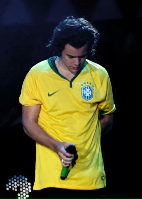 stylwsangeIs's tweet photo. "It was the best show ever, Brazil eu te amo" não preciso falar mais nada, apenas sentir #2YearsOf1DInBrazil https://t.co/fllOZxOCZV