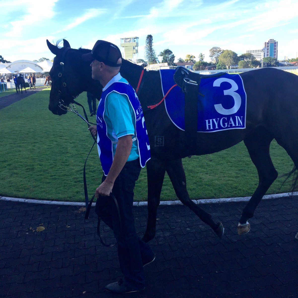 Excess Knowledge is in the yard ahead of the <a href="/GCTurfClub/">Gold Coast Turf Club</a> Hollindale Stakes.