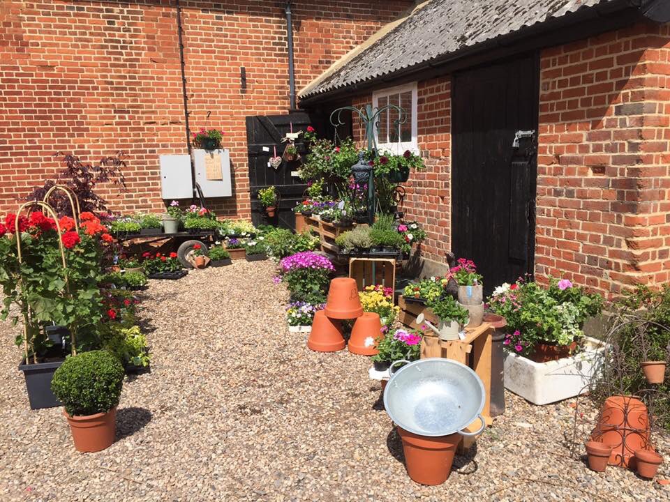 stortfordhour's tweet photo. **New Local Business**
#HangingBaskets & #Gifts
https://t.co/QkVxoFdFCN
#BishopsStortford (next to #TimsTiles) https://t.co/dcgoEVbCMn
