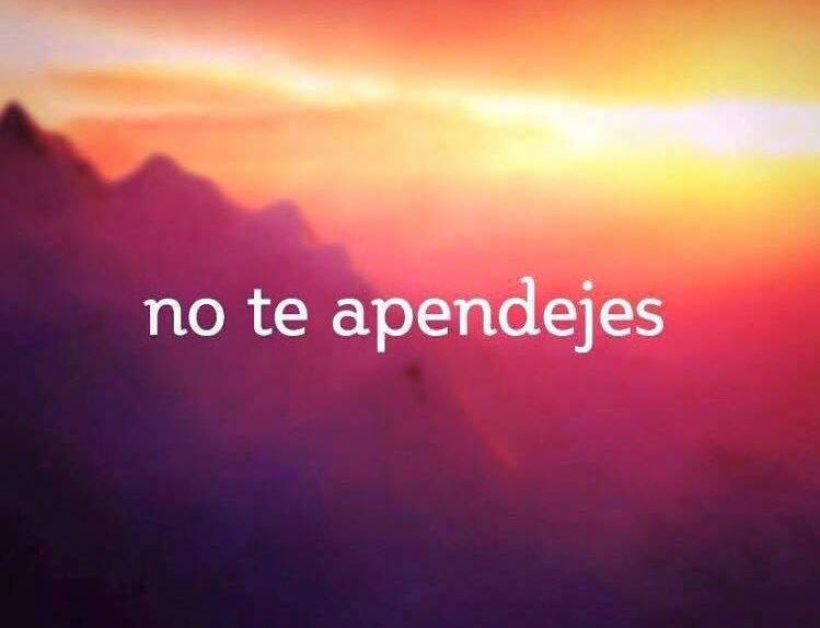 odillegc's tweet photo. Mantra del día 💆🏻 https://t.co/8nZjlEZDmo
