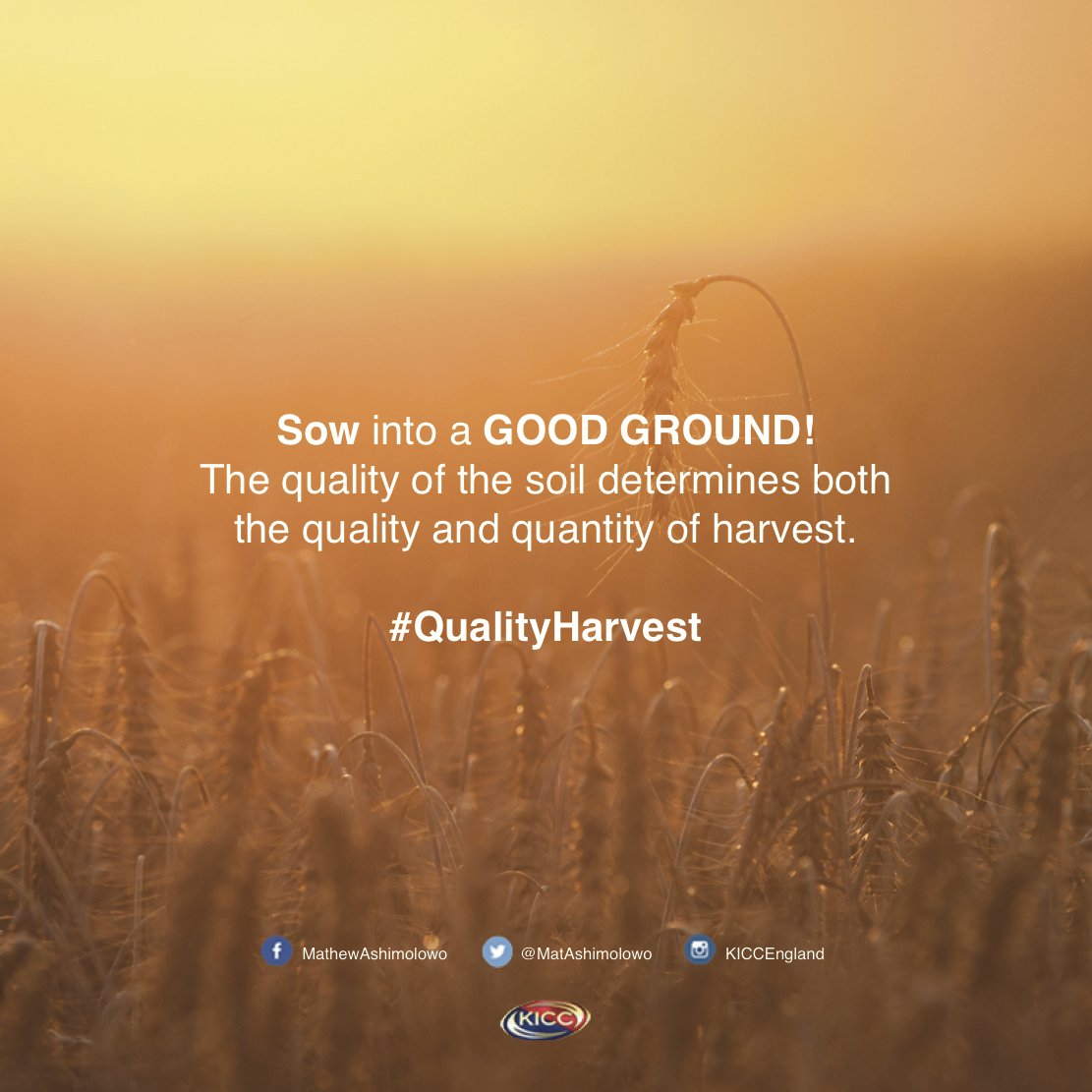 Take time to prepare a seed and plant it where GOD directs you for a #QualityHarvest
