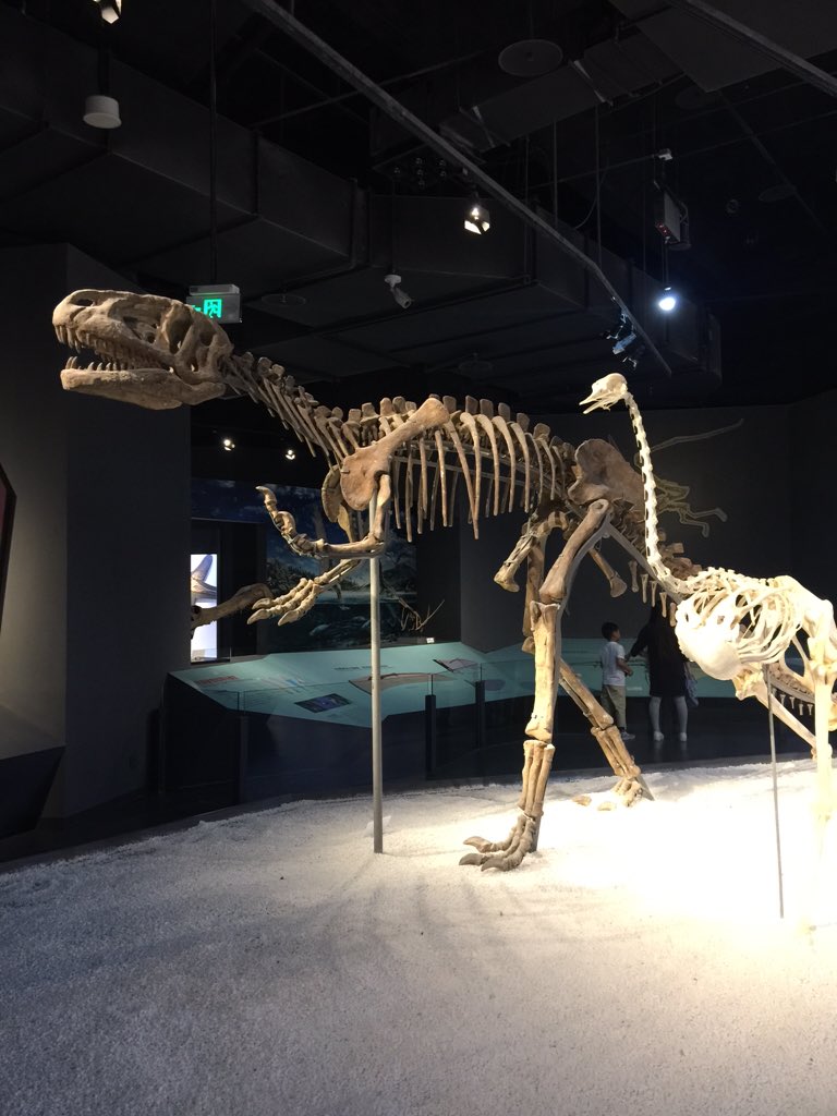 JamesCageWhite's tweet photo. Visit nature museum https://t.co/O8bpCiAiqF