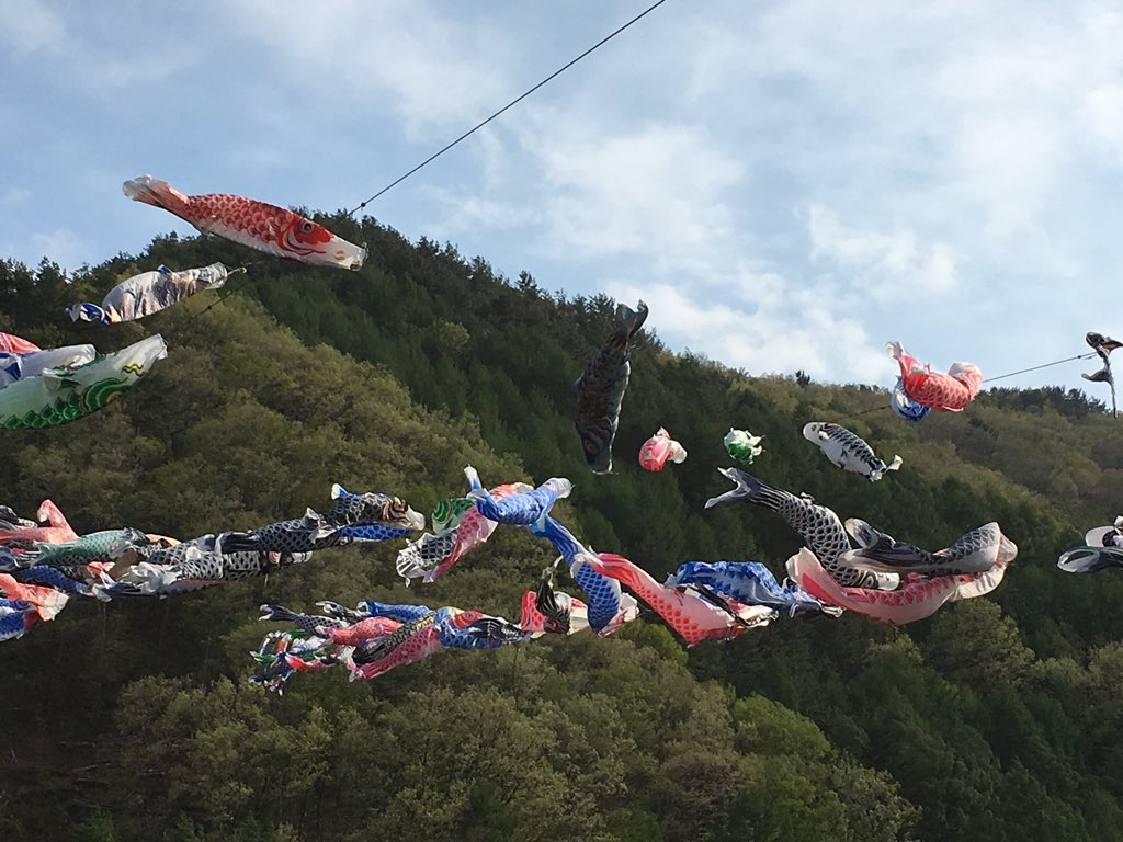 Makurajin's tweet photo. 群馬県片品村の花咲の湯にきました。
鯉のぼりがたくさん。 https://t.co/pE9l1joaa4
