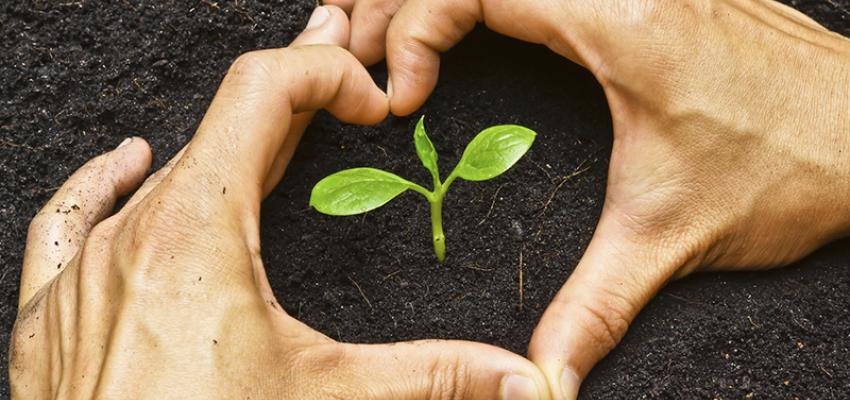 SustainVic's tweet image. Be recognised for enviro innovation with a Premier’s sustainability Award » owl.li/4nrxsX via @vicchamber