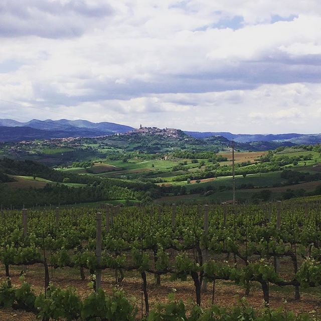 umbria_in's tweet photo. #todi #umbria #umbriain foto di π·: @danieleberti76 https://t.co/SlGvtEAYnx