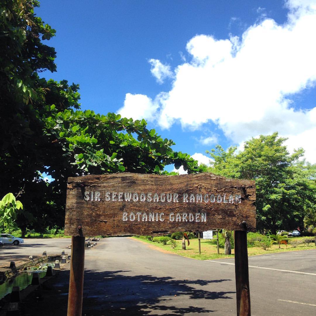This is the SSR Botanical Garden, Pamplemousses, Mauritius, the oldest in the entire world's Southern Hemisphere.