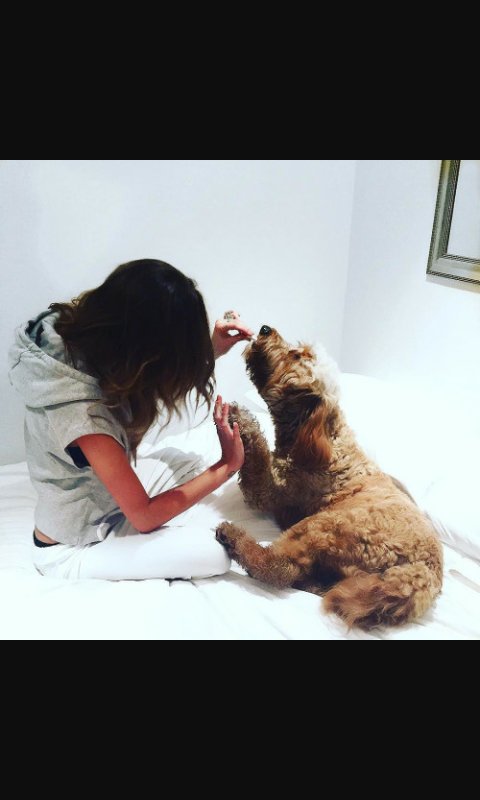 CatalinaCalder's tweet photo. Love you..❤🙈and Bruce too❤ @EleanorJCalder https://t.co/g8AJMijO5V