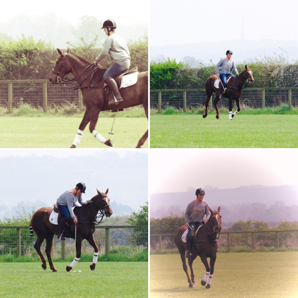 <a href="/IzzyCheshire/">Izzy Cheshire ❤️</a> doing an amazing job this morning! Well Done 😍🐎 #girlpower #ladypolo