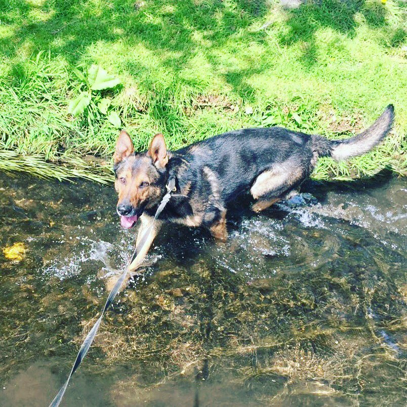 Cambs Police 💙 tweet media