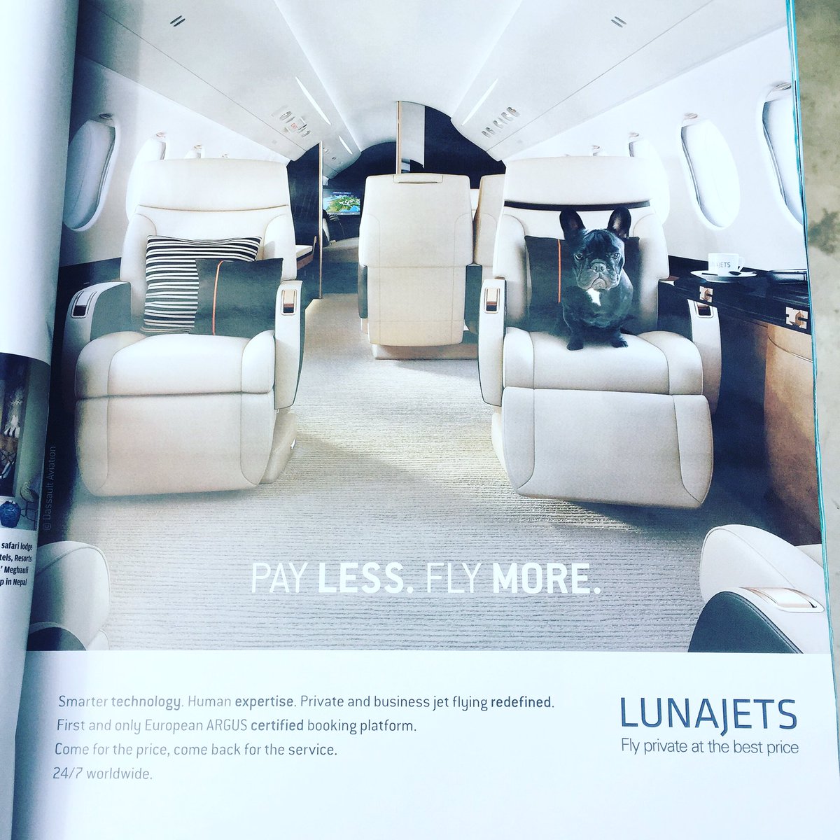 PoochStaysToo's tweet photo. Now that's the way for a pooch to travel in style. @lunajets #dogfriendly #dogs #luxurytravel #vacation https://t.co/sJr8Pq0VqC