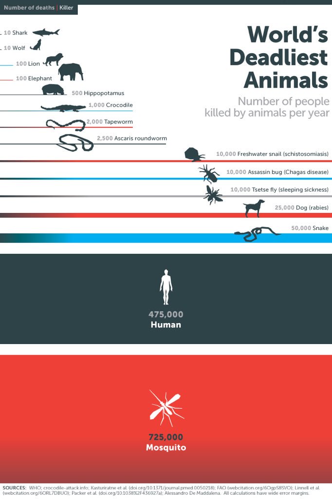 saoghal_beag's tweet photo. From same article #infographic #deadliestanimals https://t.co/W0NIY4LoUc