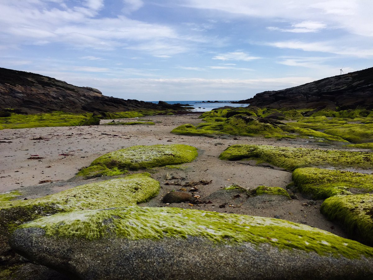 xoanestua's tweet photo. Na miña mañá de bicicleteo imaxinei un picnic no verán nesta Praia de #Portelo en #Cervo. @Galicia_Mola vaia que si! https://t.co/Fq2q8ctfDT