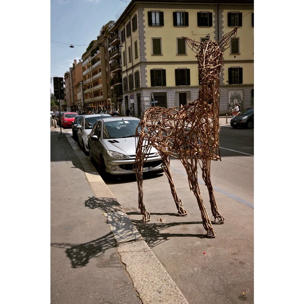 Milanodavedere's tweet photo. Una nuova specie è apparsa in città 🐏🎨 #wildanimals #viacanonica #galleriadarte #zonasarpi #milano #emanuelapacotto… https://t.co/qsYoDriU2S
