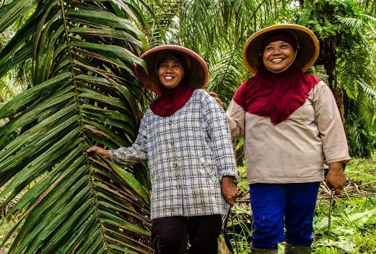 ViralStory_'s tweet photo. 50% of world's farmers=women. HelenClarkUNDP on #ruralwomen's key role in #SDGs https://t.co/kVjz74BpLj #ZeroHung… https://t.co/HbZs3lAiGI