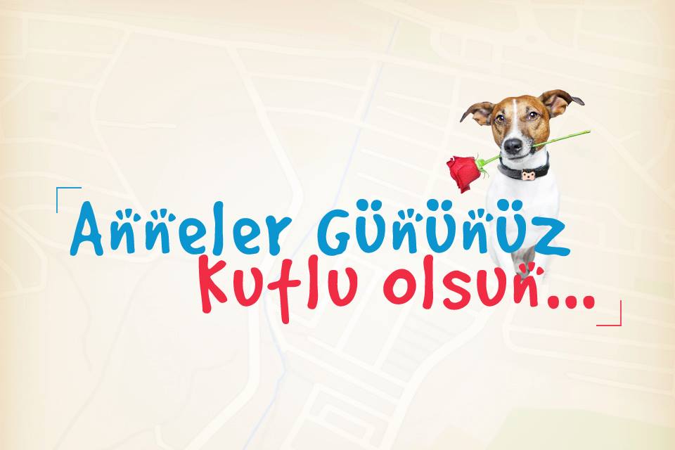 Anneler Gününüz Kutlu Olsun...
wikypet.com

#wikypet #petgsm #takipcihazı #annelergünü #8Mayıs
