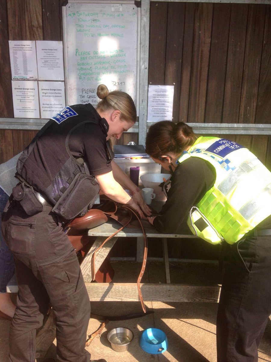 NYP_HorseWatch's tweet photo. 10 saddles marked so far, DotPeen working really well #tackmarking https://t.co/dHaiHY3ZUt