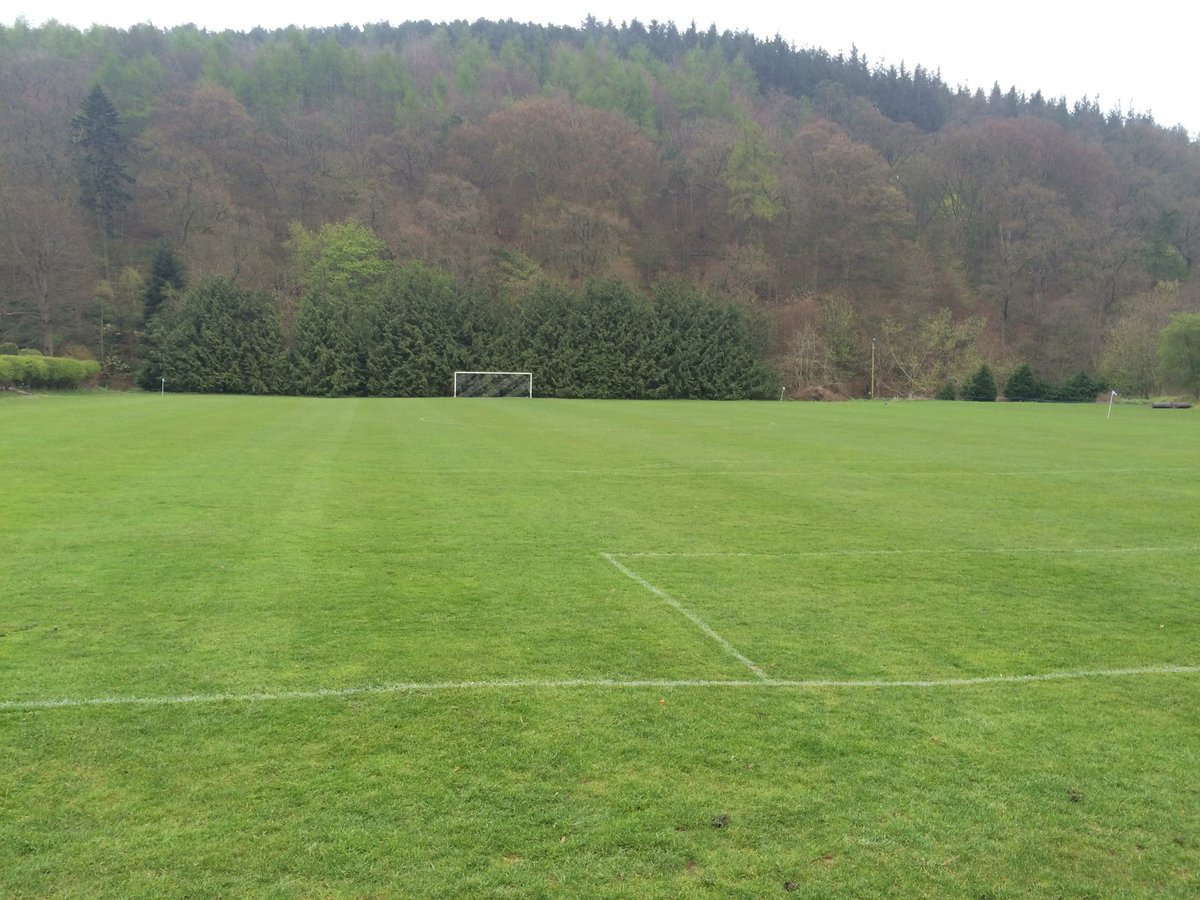 Lee Manderson tweet media