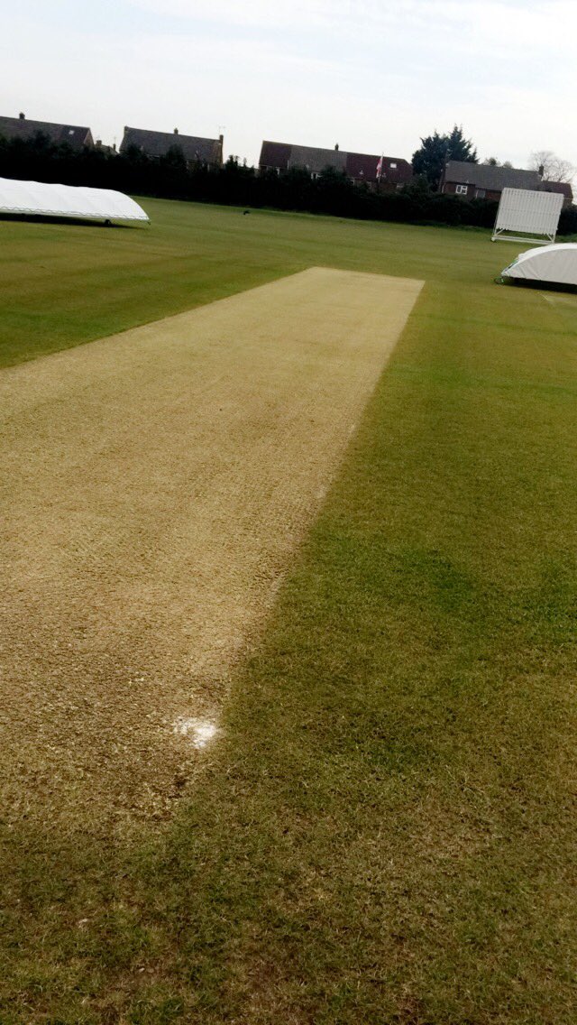 trowbridgecc's tweet photo. Pitch looking lovely for the visit of @DevizesCC today! #cricket #Trowbridge #TCC #road #runs #getthegameon #ForBri https://t.co/qjyBCL4t1g