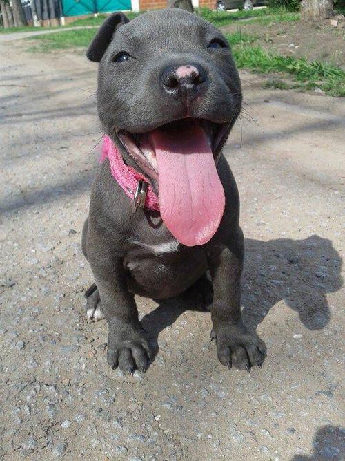 Animals_Feed's tweet photo. OMG, he's so cute! https://t.co/UYV9fe11Rh