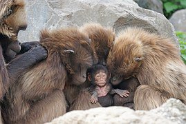 woods_brenda's tweet photo. Your book is your baby - let us take care of you. #TheWriteSpace https://t.co/DB4f5VL0CM https://t.co/3ZbHtKr0To