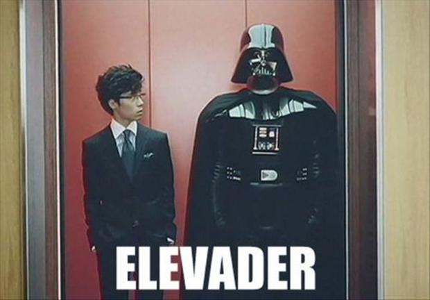 birdyvee's tweet photo. #elevader https://t.co/RQ2cQYti0U