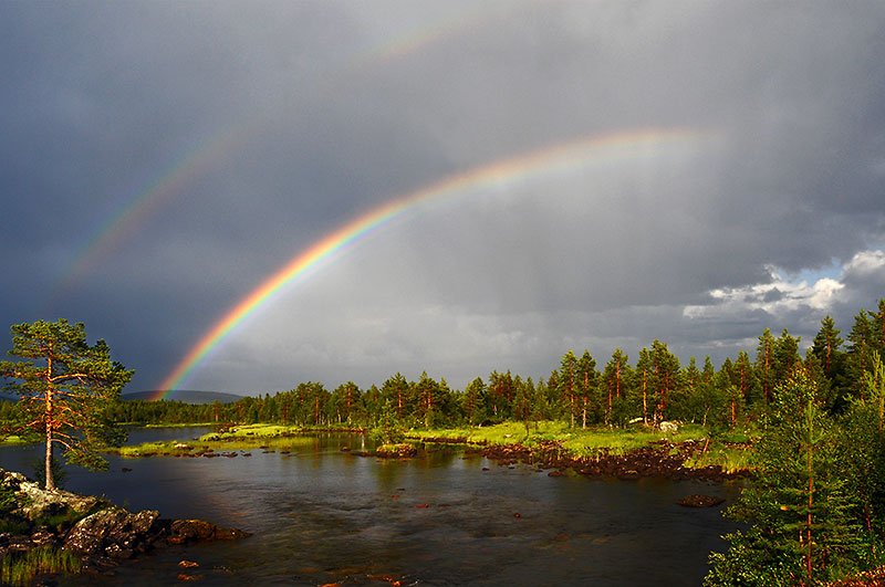 ChelleKJarvis's tweet photo. Look up to the sky, you'll never find #rainbows If you're looking down - Charlie Chaplin https://t.co/EuDmLdOw0J