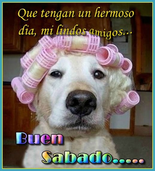 Rafa_Goz_'s tweet photo. A prepararse desde temprano, ya que la imagen por fuera también muestra algo de la esencia de adentro... #BuenSabado https://t.co/K7sS5KhXL1
