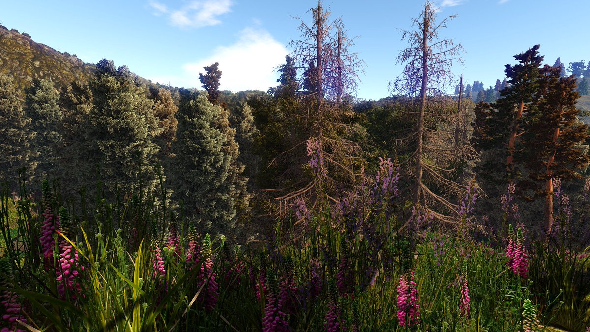 jimmikaelkael's tweet photo. Beautified Sunny Mountains #madewithgaia #SpeedTree #Unity3D #AssetStore #screenshotsaturday https://t.co/LoVaSXmPDf https://t.co/84CMymgYz3