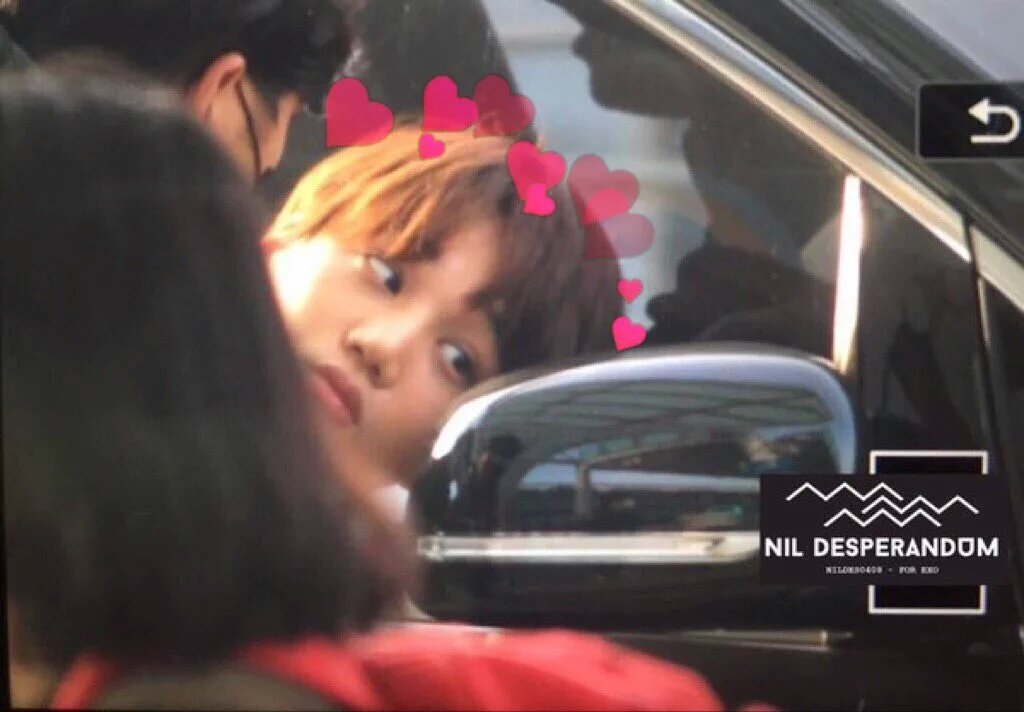 jonginui's tweet image. 